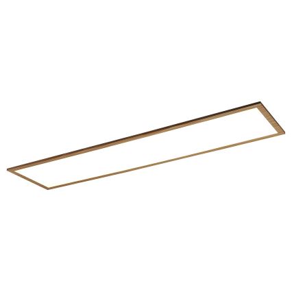 Rabalux - Светодиодная припотолочная панель LED/40W/230V 4000K