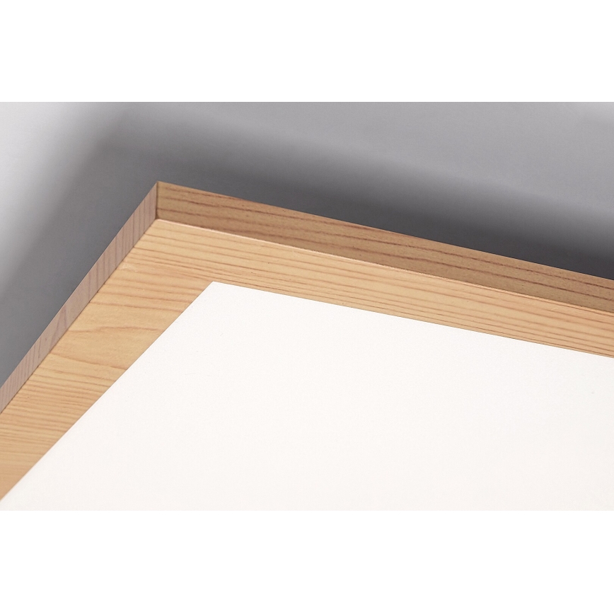 Rabalux - Светодиодная припотолочная панель LED/40W/230V 4000K