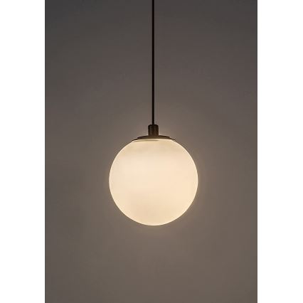 Rabalux - Світлодіодна підвісна люстра до 1-фазної трекової системи LED/5W/230V 3000K чорний