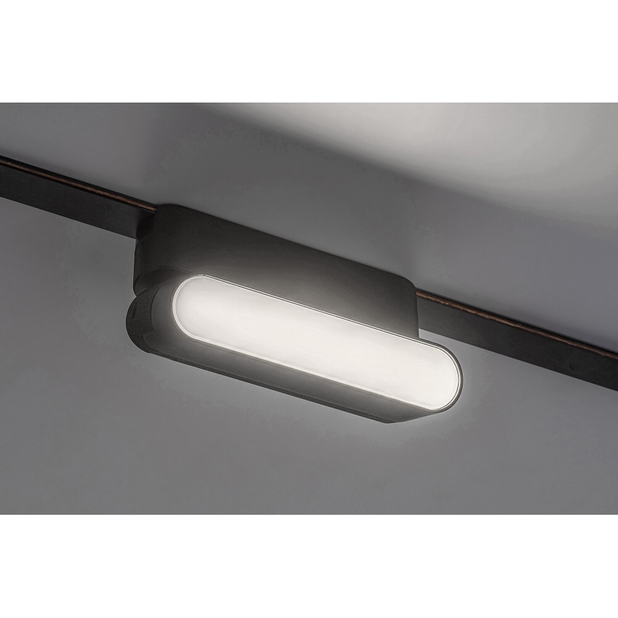 Rabalux - Стельовий LED світильник до 1-фазної трекової системи LED/6W/24V 4000K 11,5 см чорний
