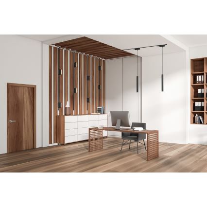 Rabalux - Светодиодный потолочный светильник для 1-фазной трековой системы LED/12W/24V 4000K 22 см черный