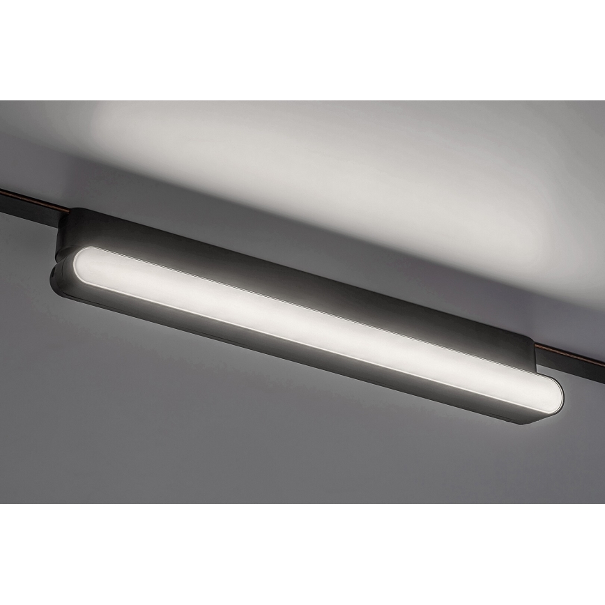 Rabalux - Стельовий LED світильник до 1-фазної трекової системи LED/16W/230V 4000K 33 см чорний