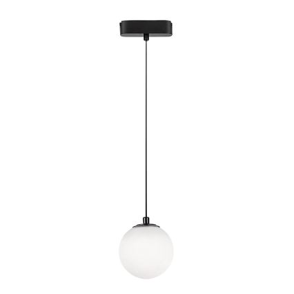 Rabalux - Світлодіодна підвісна люстра до 1-фазної трекової системи LED/5W/230V 4000K чорний