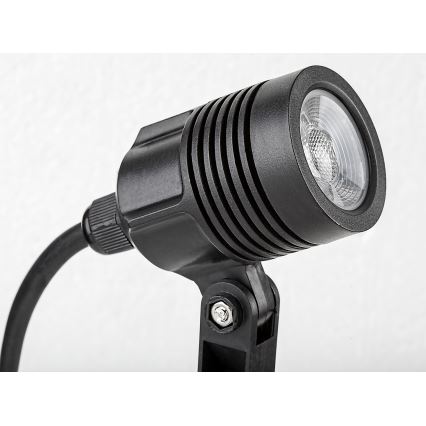 Rabalux - Светодиодная уличная лампа LED/3W/230V IP65