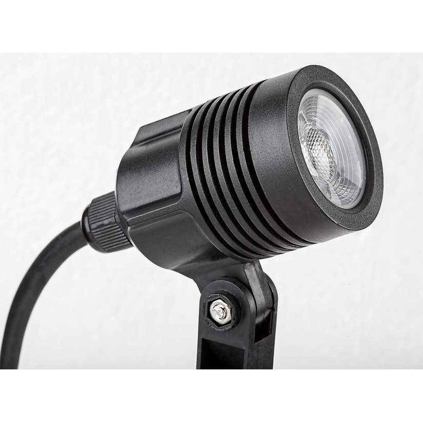 Rabalux - Светодиодная уличная лампа LED/3W/230V IP65