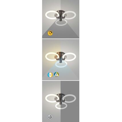 Rabalux - Светодиодный потолочный светильник с регулированием яркости LED/21W/230V 3000/4000/6000K + дистанционное управление