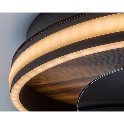 Rabalux - Светодиодный потолочный светильник с вентилятором и регулированием яркости LED/30W/230V 3000-6500K + дистанционное управление