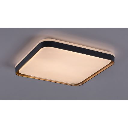 Rabalux - Стельовий LED світильник LED/26W/230V 3000K