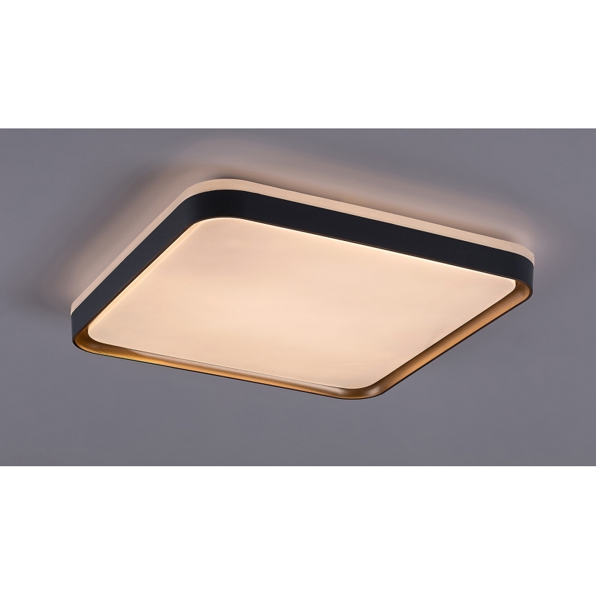 Rabalux - Стельовий LED світильник LED/26W/230V 3000K