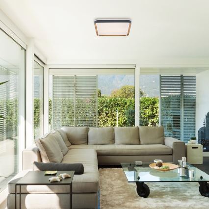 Rabalux - Стельовий LED світильник LED/26W/230V 3000K