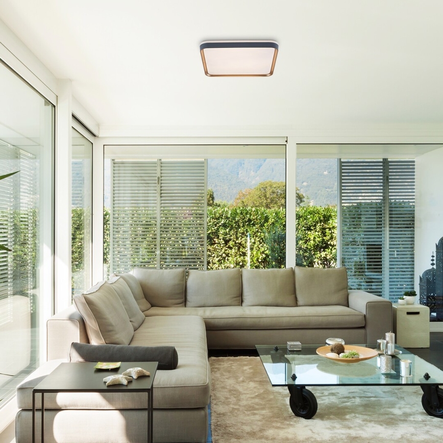 Rabalux - Стельовий LED світильник LED/26W/230V 3000K