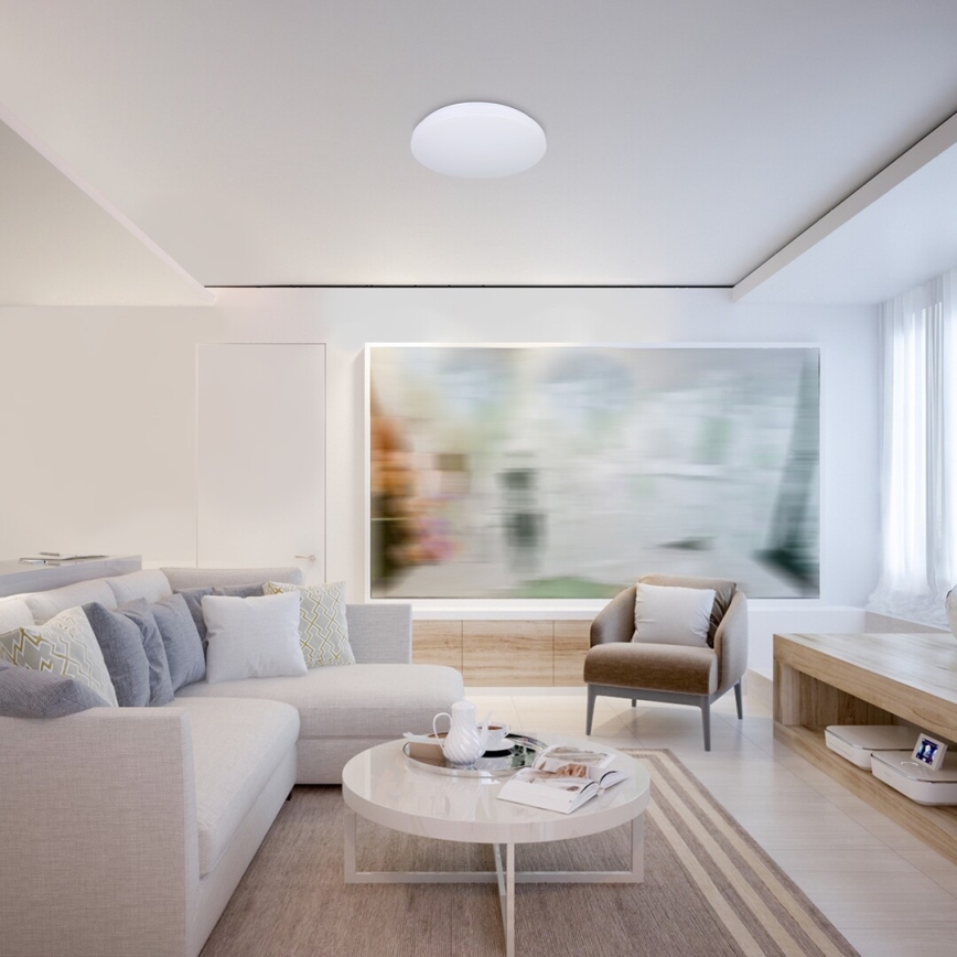 Rabalux - Світильник стельовий світлодіодний RGB з регулюванням яскравості LED/24W/230V Wi-Fi Tuya 3000-6500K 31 см