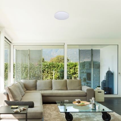 Rabalux - Светодиодный потолочный RGB-светильник с регулированием яркости LED/48W/230V Wi-Fi Tuya 3000-6500K 50 см