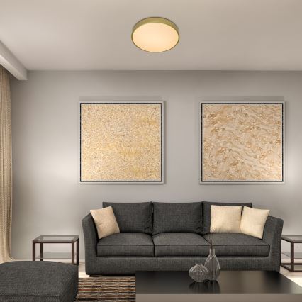 Rabalux - LED стельовий світильник LED/36 Вт/230 В 3000K діаметр 40 см