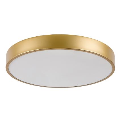 Rabalux - LED стельовий світильник LED/36 Вт/230 В 3000K діаметр 40 см