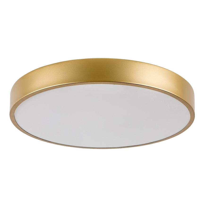 Rabalux - LED стельовий світильник LED/36 Вт/230 В 3000K діаметр 40 см