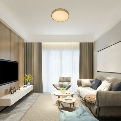 Rabalux - регульований LED-стельовий світильник, 60 Вт, 230 В, 3000–6000 К, з пультом дистанційного керування, діаметр 60 см