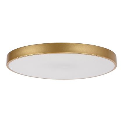 Rabalux - Светодиодный потолочный светильник с регулированием яркости LED/60W/230V 3000-6000K + дистанционное управление