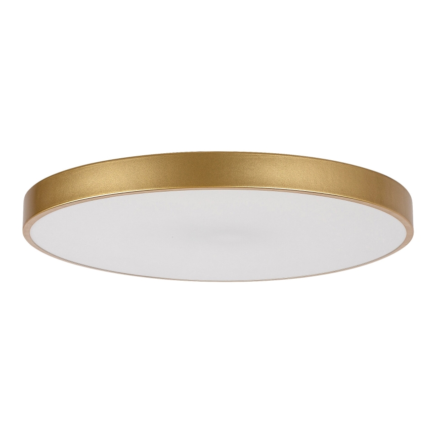 Rabalux - Светодиодный потолочный светильник с регулированием яркости LED/60W/230V 3000-6000K + дистанционное управление