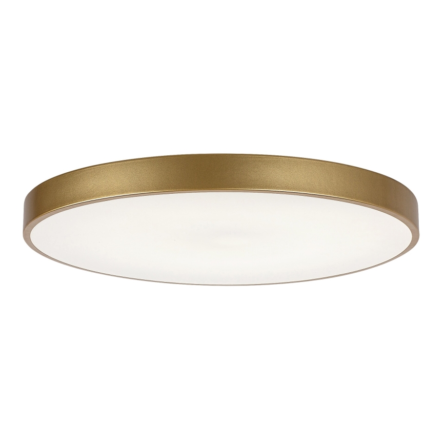 Rabalux - Светодиодный потолочный светильник с регулированием яркости LED/60W/230V 3000-6000K + дистанционное управление