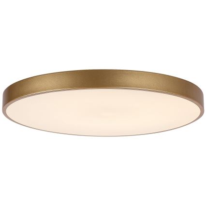 Rabalux - Светодиодный потолочный светильник с регулированием яркости LED/60W/230V 3000-6000K + дистанционное управление