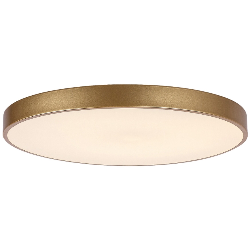 Rabalux - Светодиодный потолочный светильник с регулированием яркости LED/60W/230V 3000-6000K + дистанционное управление