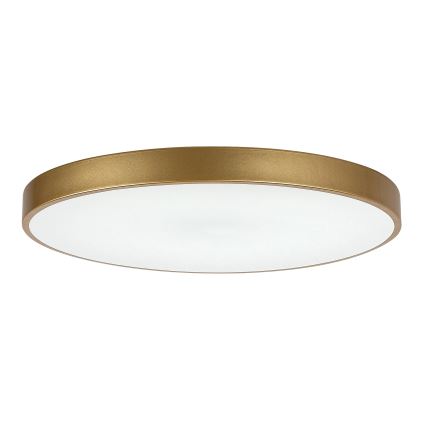 Rabalux - Світлодіодний стельовий світильник з регулюванням яскравості LED/60W/230V 3000-6000K + дистанційне керування