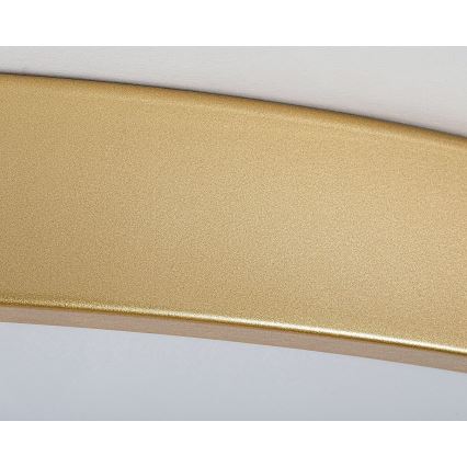 Rabalux - Світлодіодний стельовий світильник з регулюванням яскравості LED/60W/230V 3000-6000K + дистанційне керування