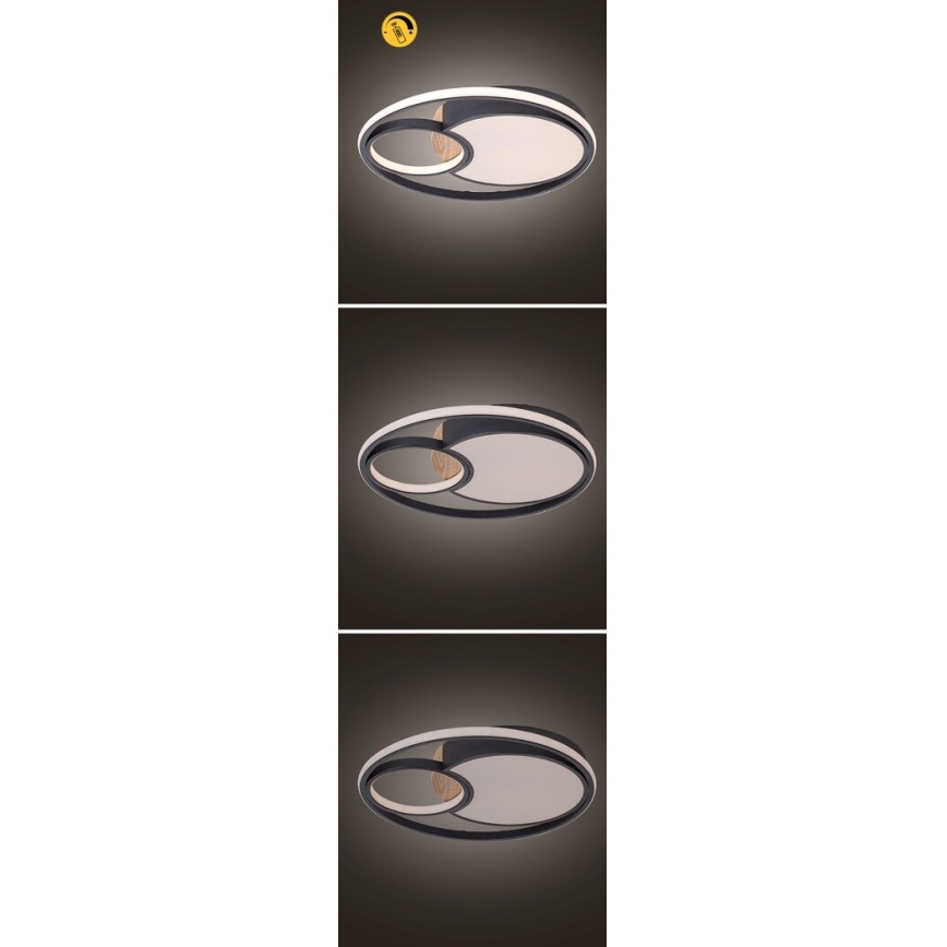 Rabalux - LED диммируемый потолочный светильник LED/81 Вт/230 В 3000K/4000K/6000K диам. 48 см + дистанционное управление