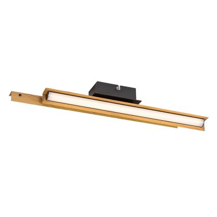 Rabalux - Светодиодный настенный светильник LED/12W/230V 3000K