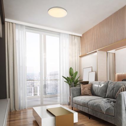 Rabalux - Стельовий LED світильник LED/24W/230V 4000K діаметр 40 см