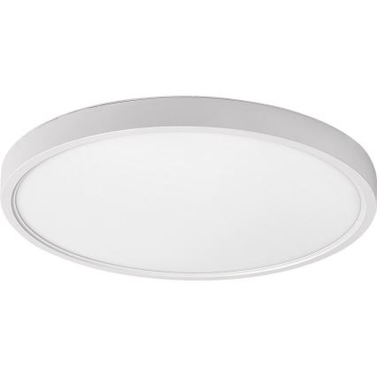 Rabalux - Стельовий LED світильник LED/24W/230V 4000K діаметр 30 см білий