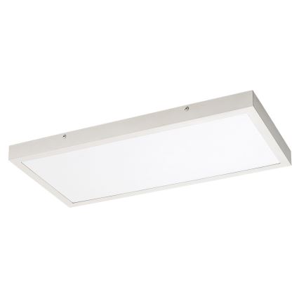 Rabalux - Светодиодная припотолочная панель LED/24W/230V 4000K 60x30 см