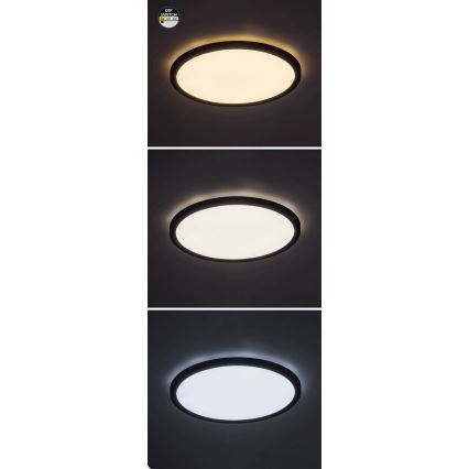 Rabalux - Светодиодный потолочный светильник LED/24W/230V 3000/4000/6000K диаметр 29 см черный