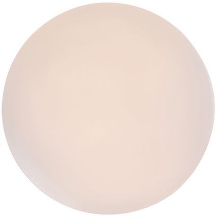 Rabalux - потолочный светильник LED/12 Вт/230 В 3000 К, диаметр 25,5 см