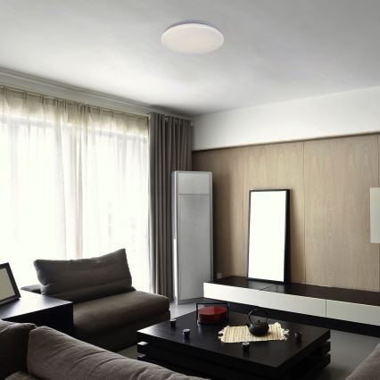 Rabalux - Світильник стельовий LED/18W/230V 4000K 32 см