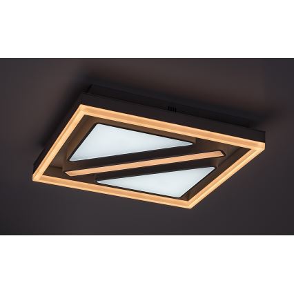 Rabalux - Светодиодный потолочный светильник с регулированием яркости LED/73W/230V + дистанционное управление