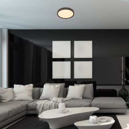 Rabalux - потолочный светильник LED/25W/230V 3000K Ø 39 см