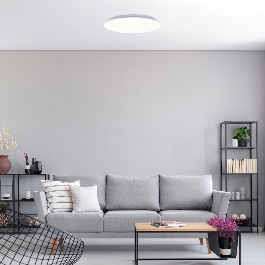 Rabalux - Стельовий LED світильник LED/24W/230V 4000K 38 см