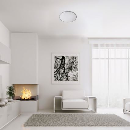 Rabalux - Світлодіодний стельовий світильник LED/18W/230V 4000K срібний 27 см