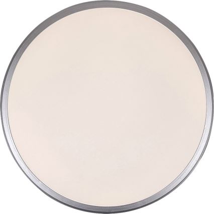 Rabalux - Світлодіодний стельовий світильник LED/18W/230V 4000K срібний 27 см