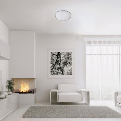 Rabalux - Світлодіодний стельовий світильник LED/45W/230V 4000K срібний 48 см