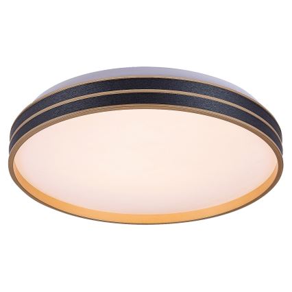 Rabalux - Светодиодный потолочный светильник с регулированием яркости LED/24W/230V 3000-6500K + дистанционное управление