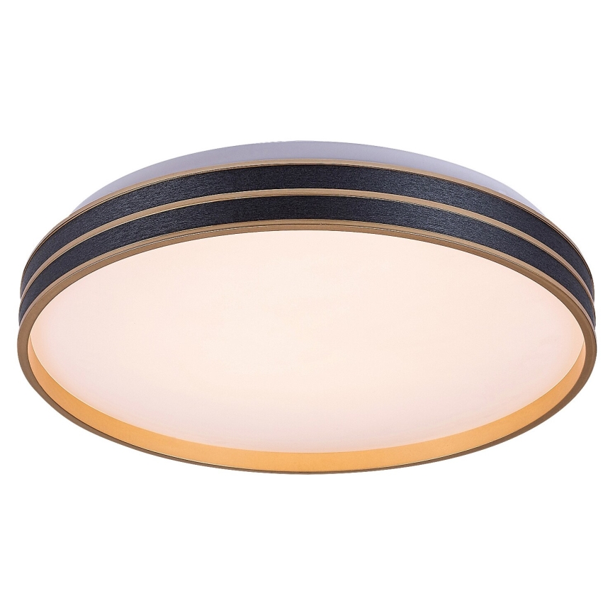 Rabalux - Светодиодный потолочный светильник с регулированием яркости LED/24W/230V 3000-6500K + дистанционное управление