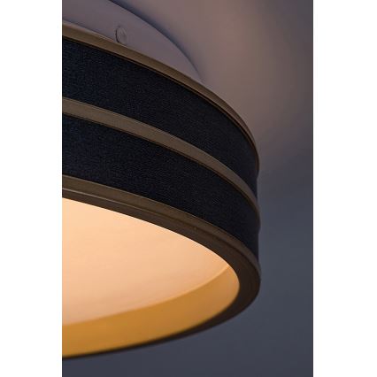 Rabalux - Светодиодный потолочный светильник с регулированием яркости LED/24W/230V 3000-6500K + дистанционное управление