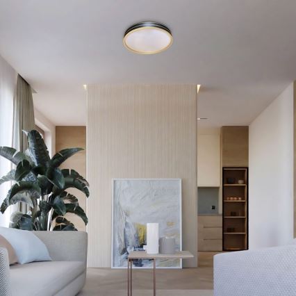 Rabalux - світлодіодний стельовий світильник з регулюванням яскравості 24 Вт/230 В 3000-6500 К діаметр 39 см + пульт дистанційного керування