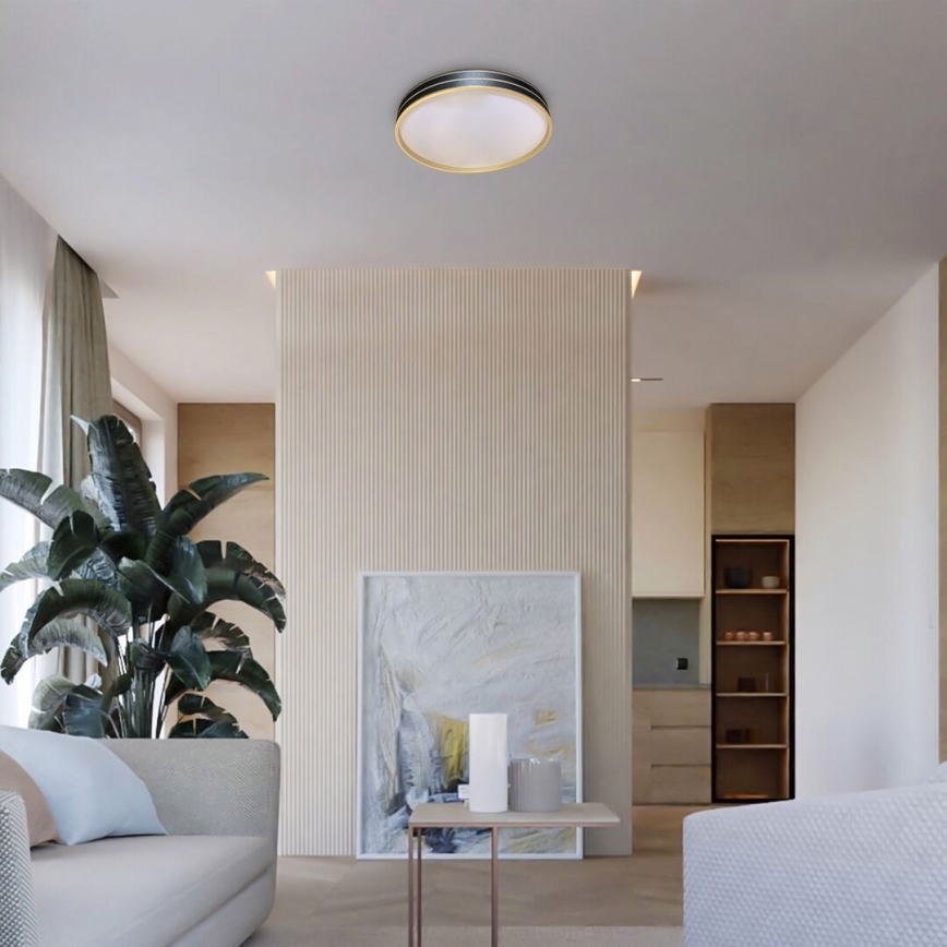 Rabalux - світлодіодний стельовий світильник з регулюванням яскравості 24 Вт/230 В 3000-6500 К діаметр 39 см + пульт дистанційного керування