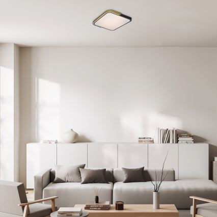 Rabalux - LED RGB стельовий світильник з регулюванням яскравості LED/48W/230V 3000K/4000K/6500K Wi-Fi Tuya + пульт дистанційного керування