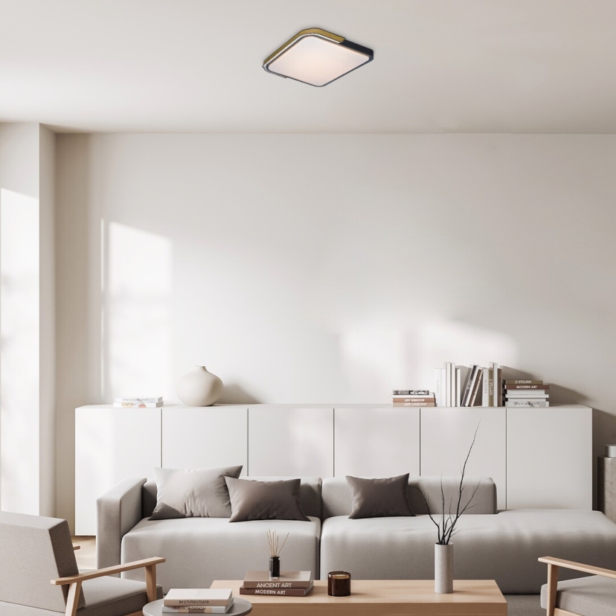 Rabalux - LED RGB стельовий світильник з регулюванням яскравості LED/48W/230V 3000K/4000K/6500K Wi-Fi Tuya + пульт дистанційного керування