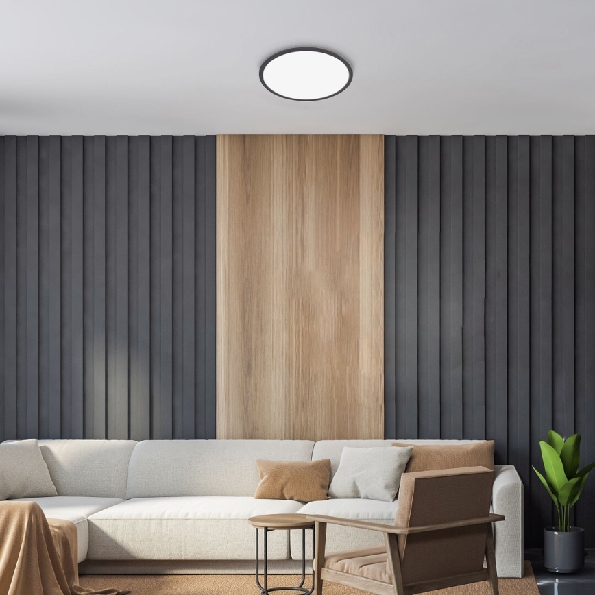 Rabalux - Светодиодный потолочный светильник с регулированием яркости LED/22W/230V 3000K 42 см